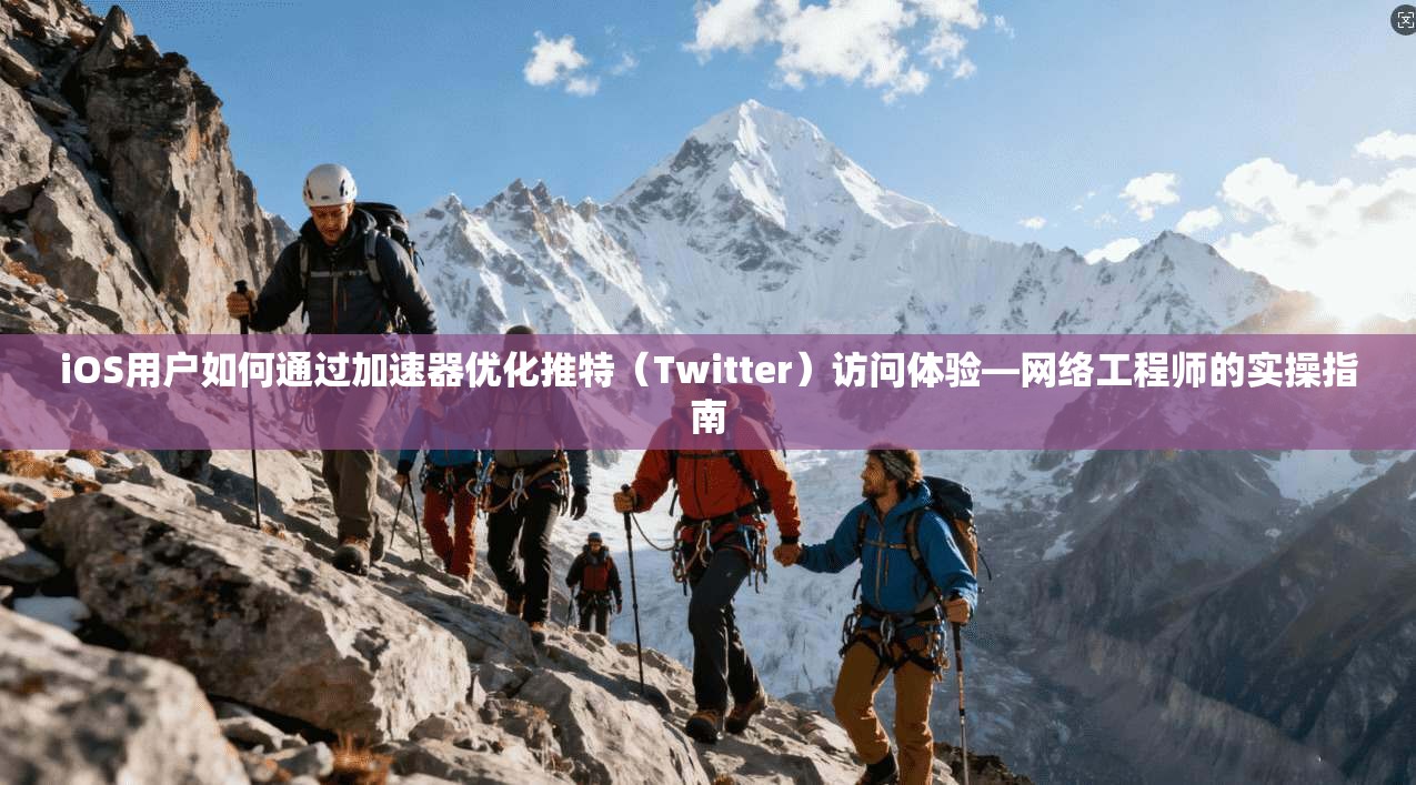 iOS用户如何通过加速器优化推特（Twitter）访问体验—网络工程师的实操指南