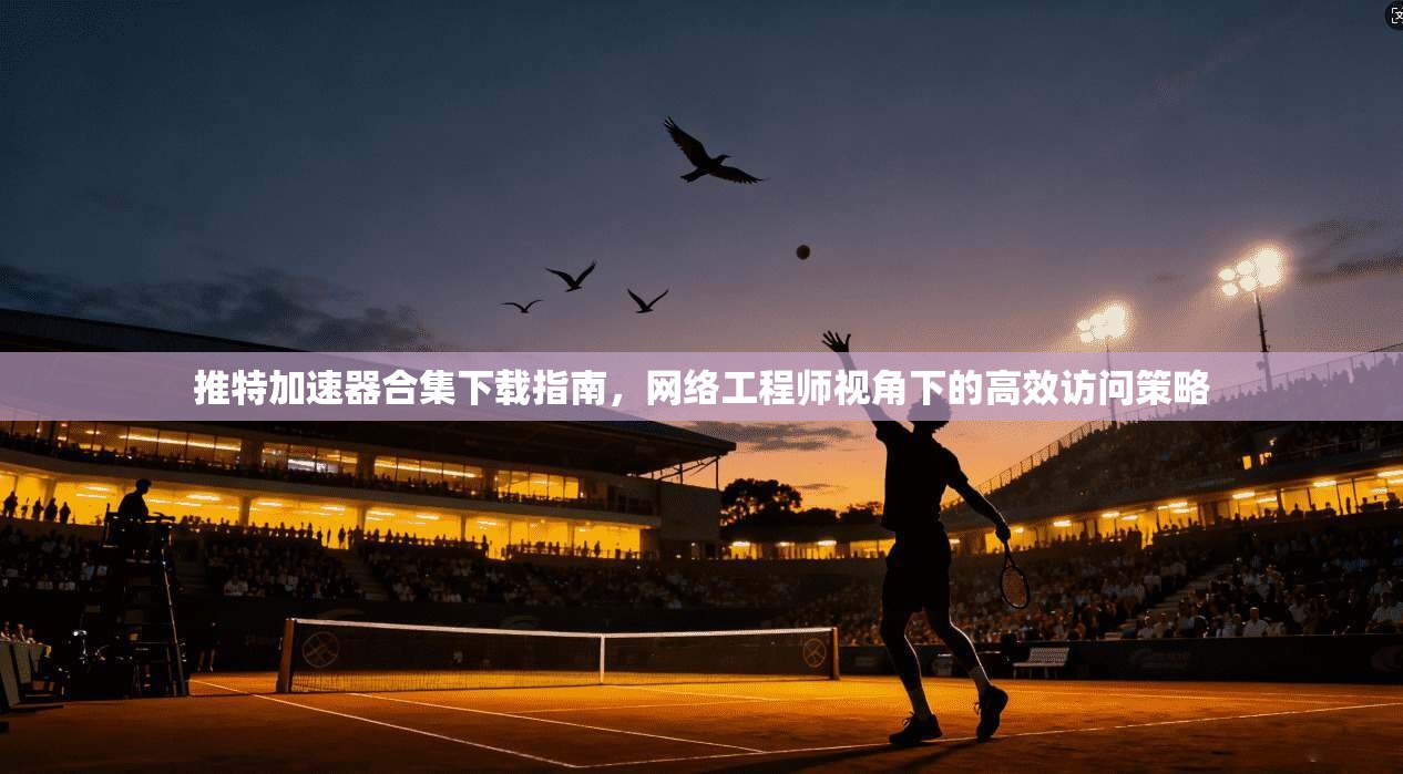 推特加速器合集下载指南，网络工程师视角下的高效访问策略