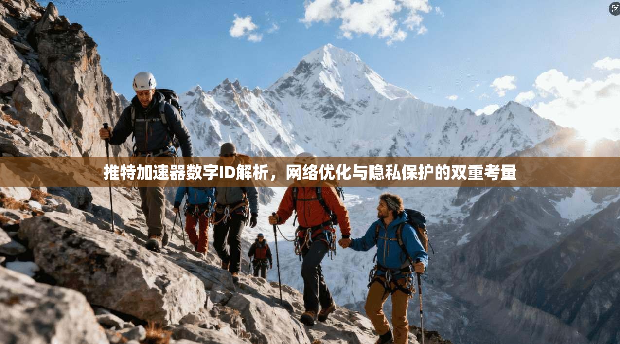推特加速器数字ID解析，网络优化与隐私保护的双重考量