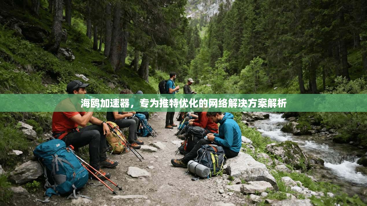 海鸥加速器，专为推特优化的网络解决方案解析