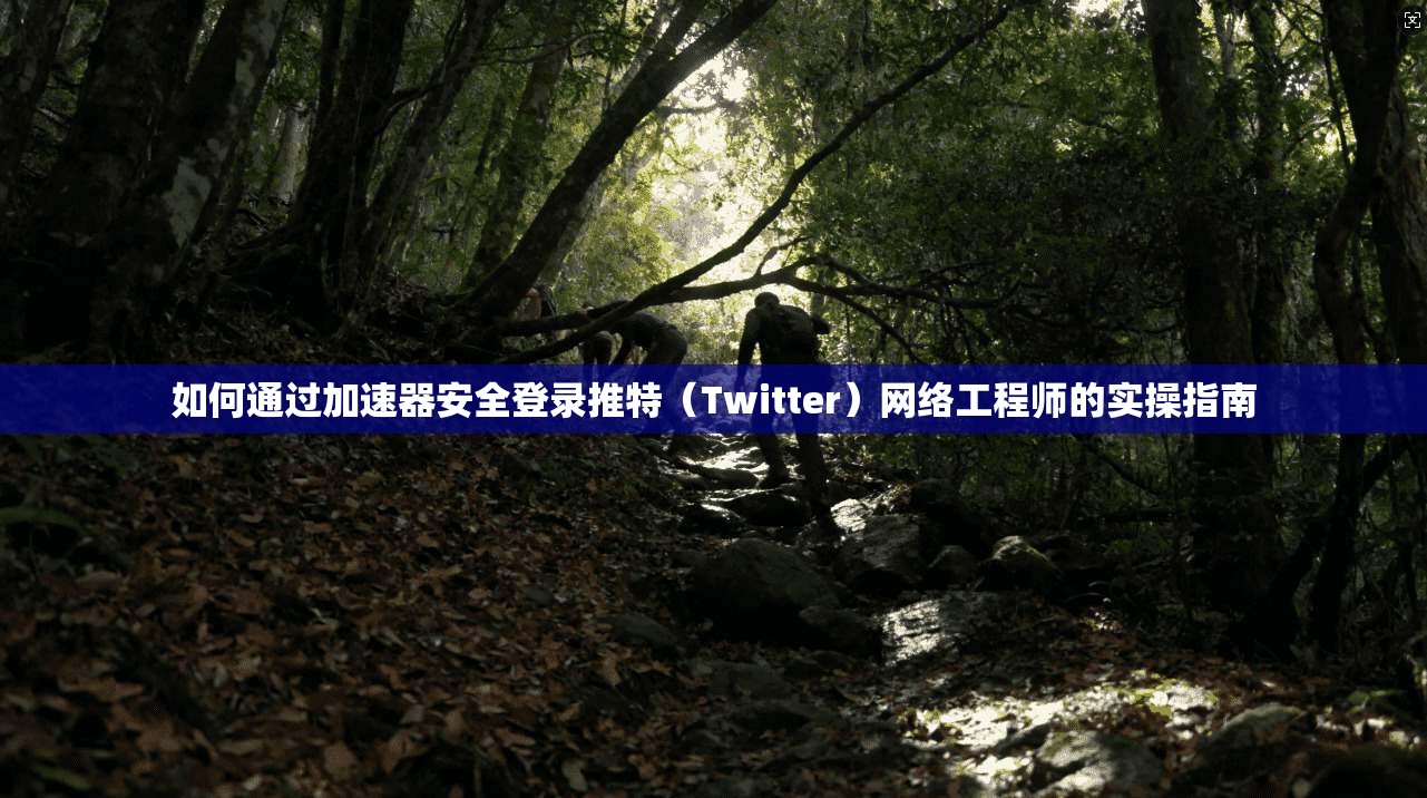 如何通过加速器安全登录推特（Twitter）网络工程师的实操指南