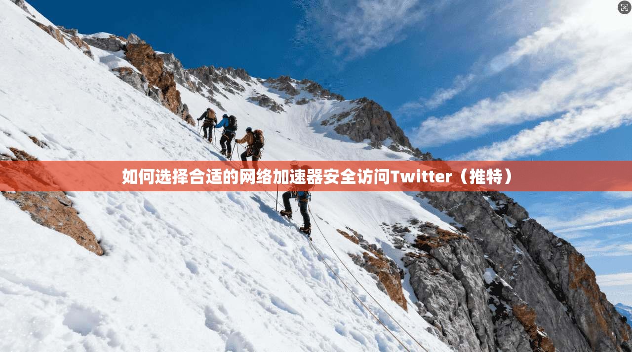 如何选择合适的网络加速器安全访问Twitter（推特）