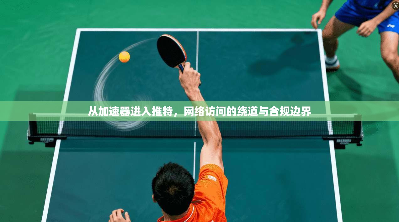 从加速器进入推特，网络访问的绕道与合规边界