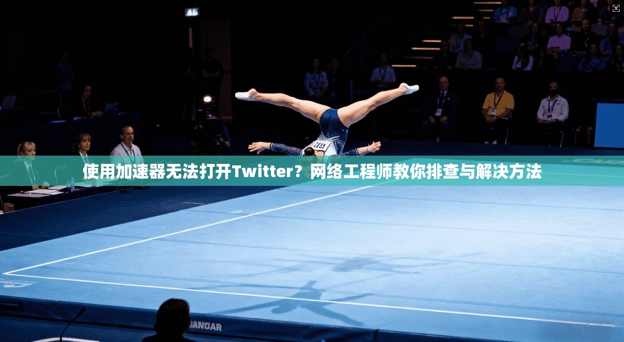 使用加速器无法打开Twitter？网络工程师教你排查与解决方法