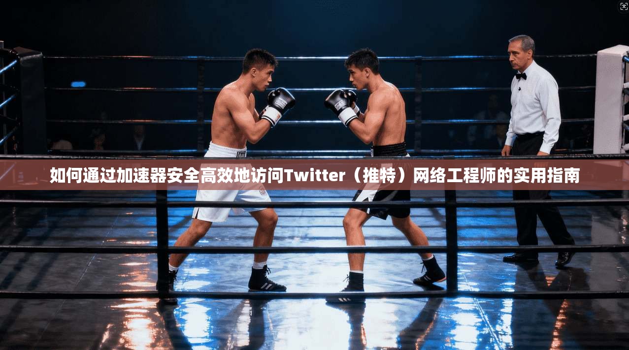 如何通过加速器安全高效地访问Twitter（推特）网络工程师的实用指南