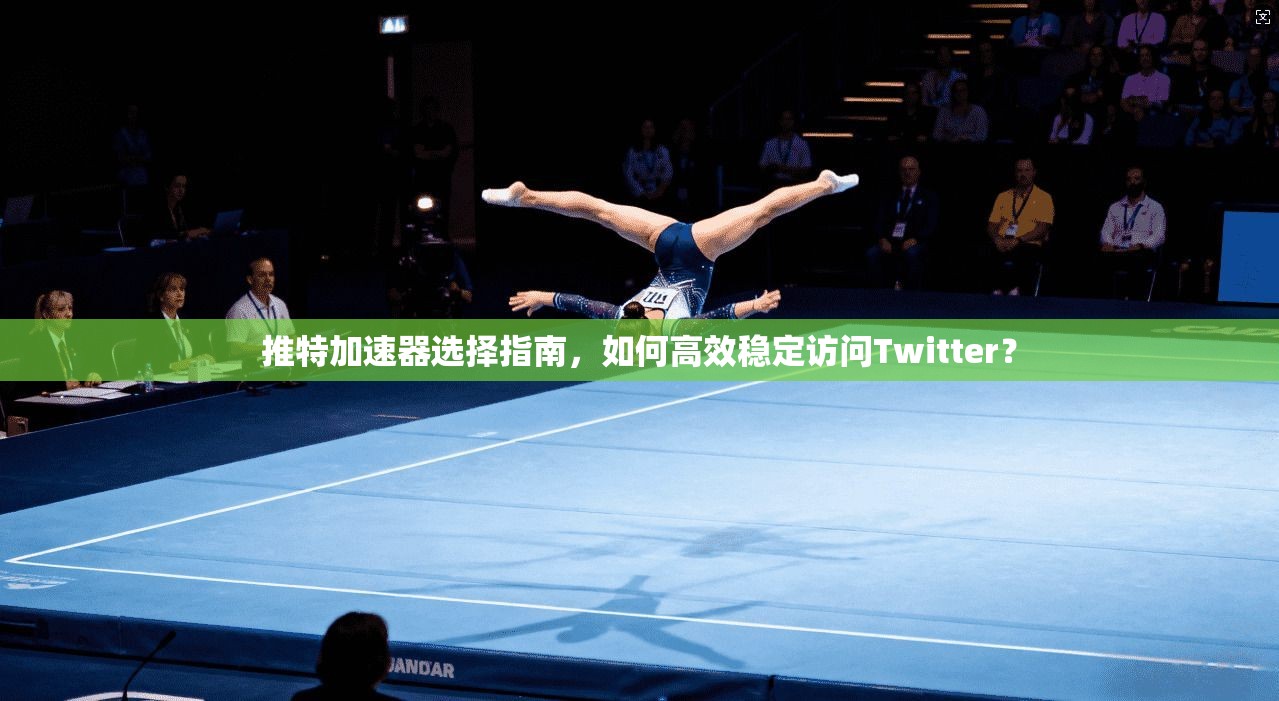 推特加速器选择指南，如何高效稳定访问Twitter？