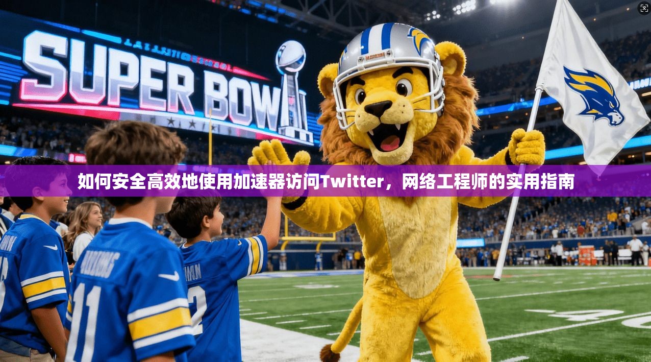 如何安全高效地使用加速器访问Twitter，网络工程师的实用指南