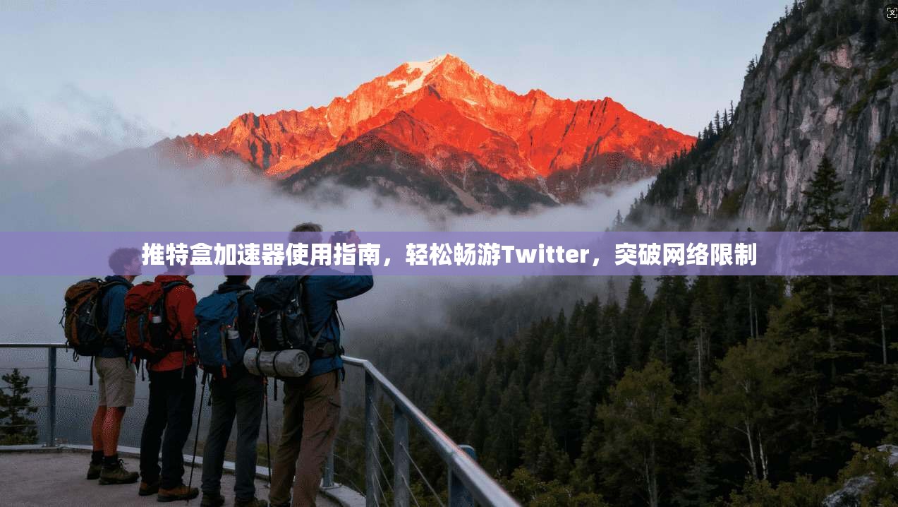 推特盒加速器使用指南，轻松畅游Twitter，突破网络限制