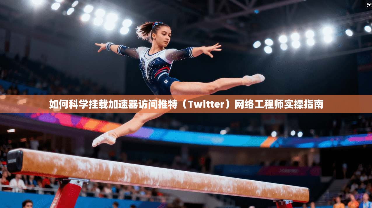 如何科学挂载加速器访问推特（Twitter）网络工程师实操指南