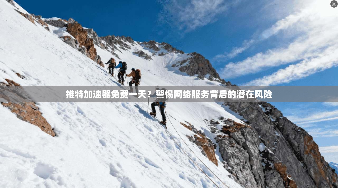 推特加速器免费一天？警惕网络服务背后的潜在风险