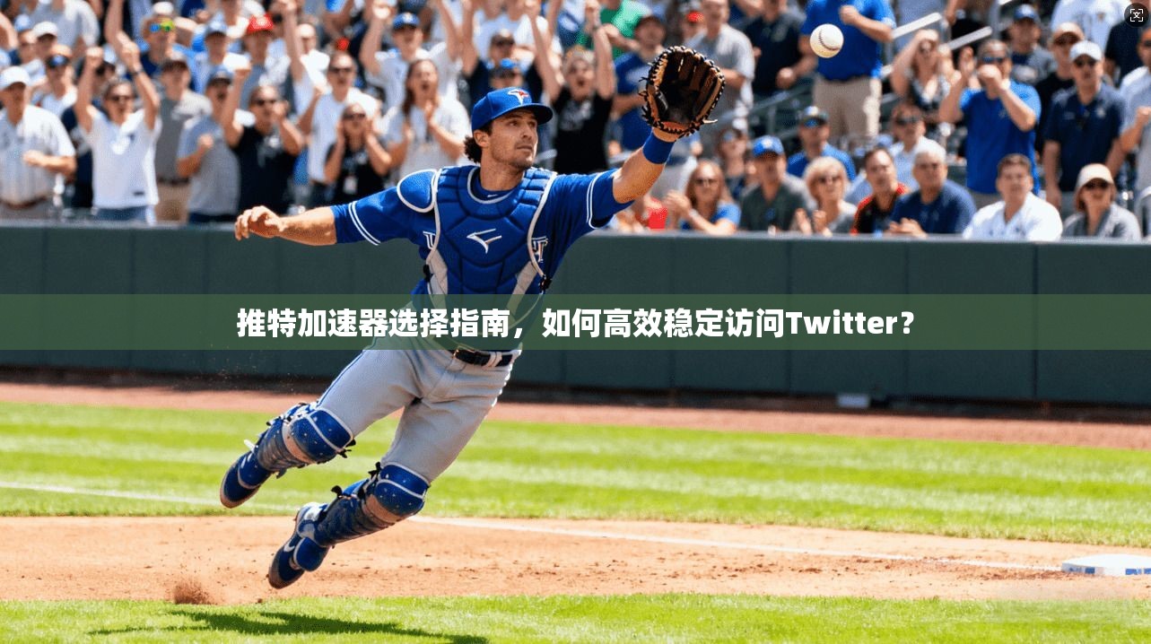 推特加速器选择指南，如何高效稳定访问Twitter？
