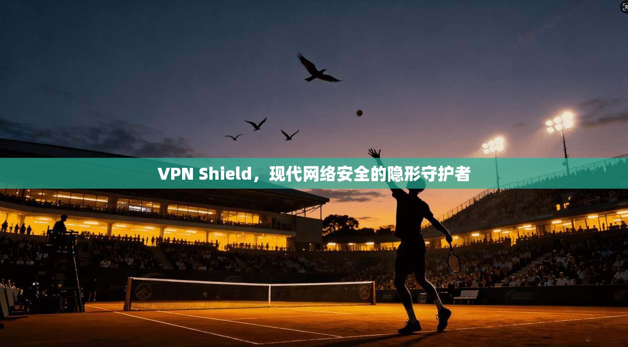 VPN Shield，现代网络安全的隐形守护者