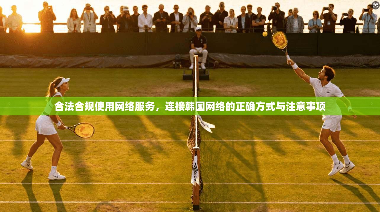 合法合规使用网络服务，连接韩国网络的正确方式与注意事项
