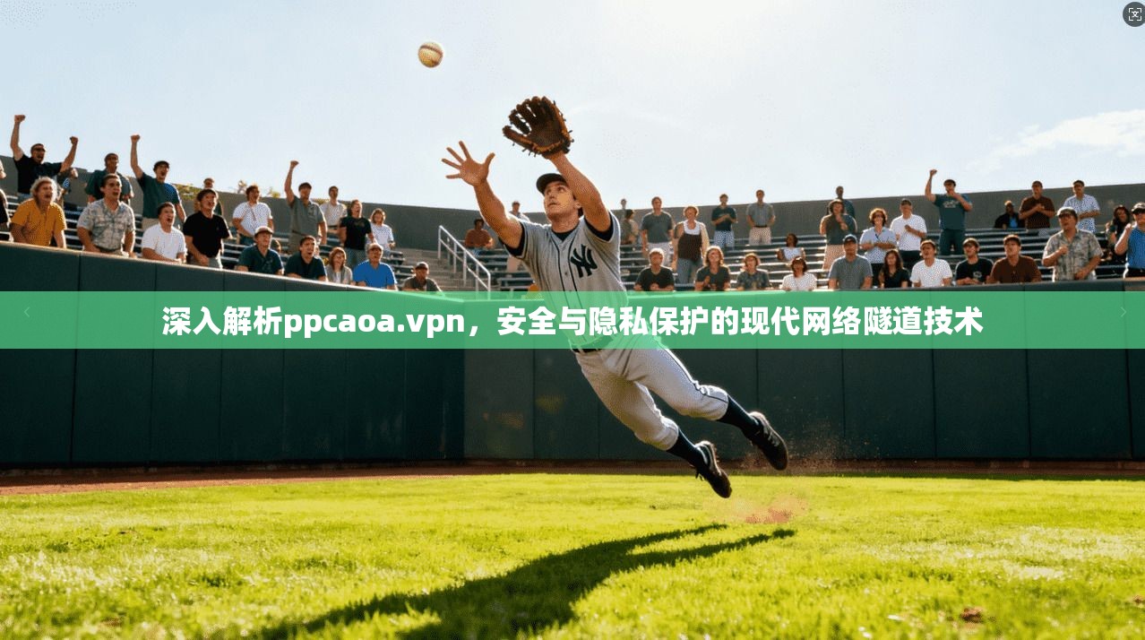 深入解析ppcaoa.vpn，安全与隐私保护的现代网络隧道技术
