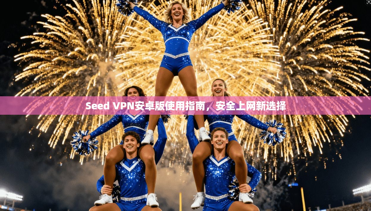 Seed VPN安卓版使用指南，安全上网新选择