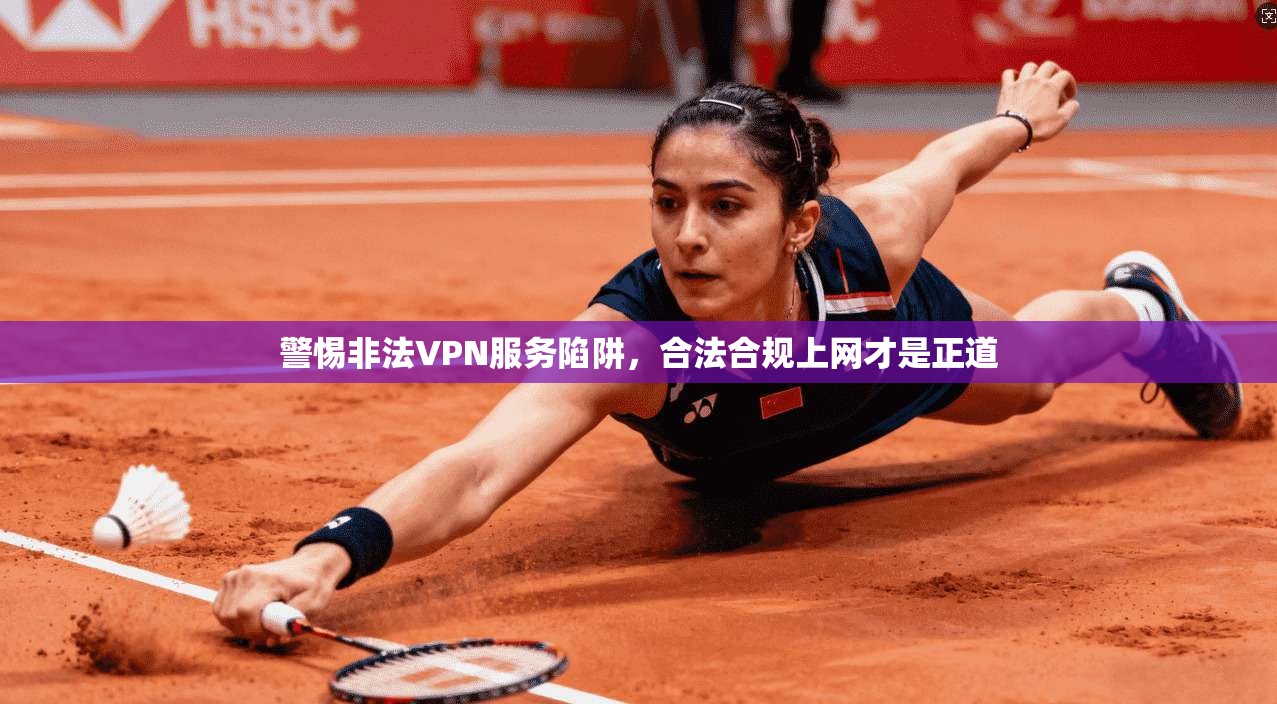 警惕非法VPN服务陷阱，合法合规上网才是正道