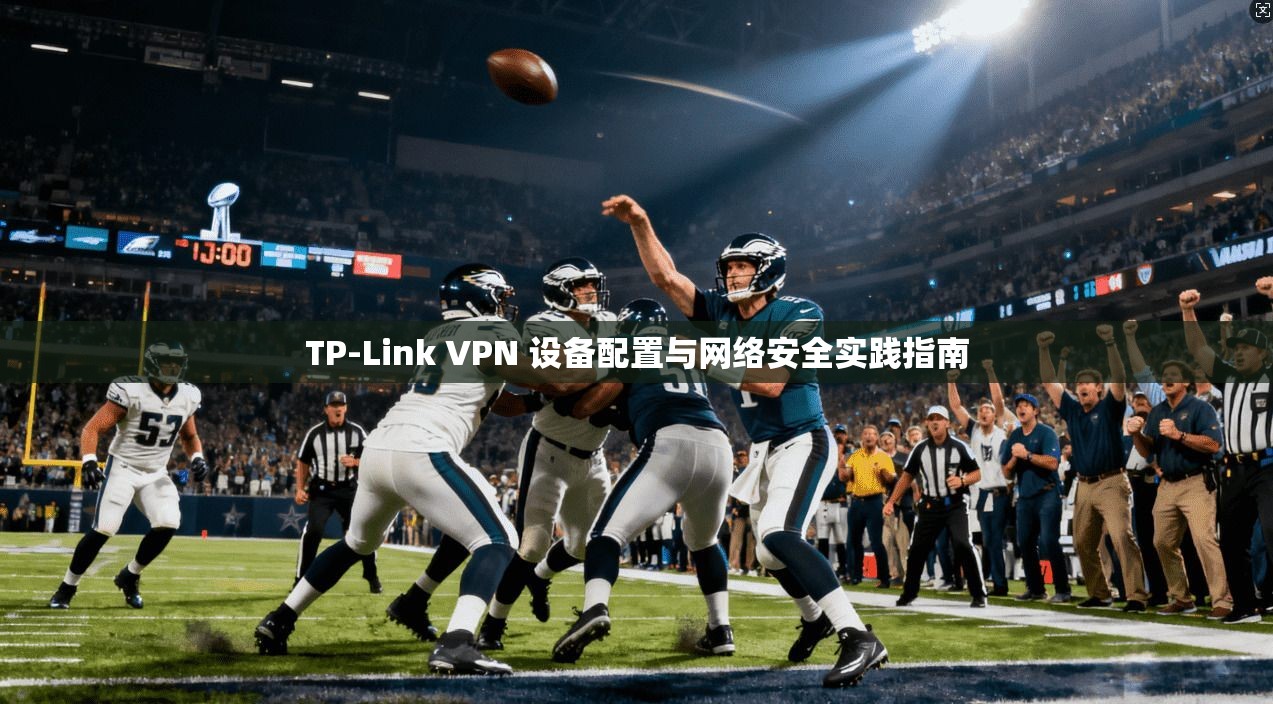 TP-Link VPN 设备配置与网络安全实践指南