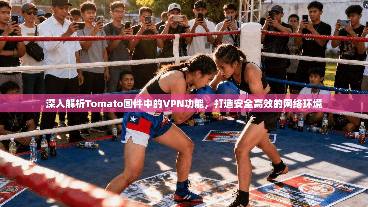 深入解析Tomato固件中的VPN功能，打造安全高效的网络环境