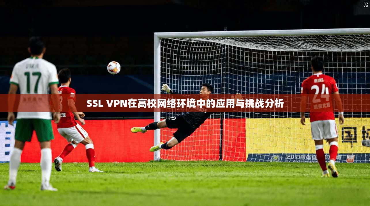 SSL VPN在高校网络环境中的应用与挑战分析