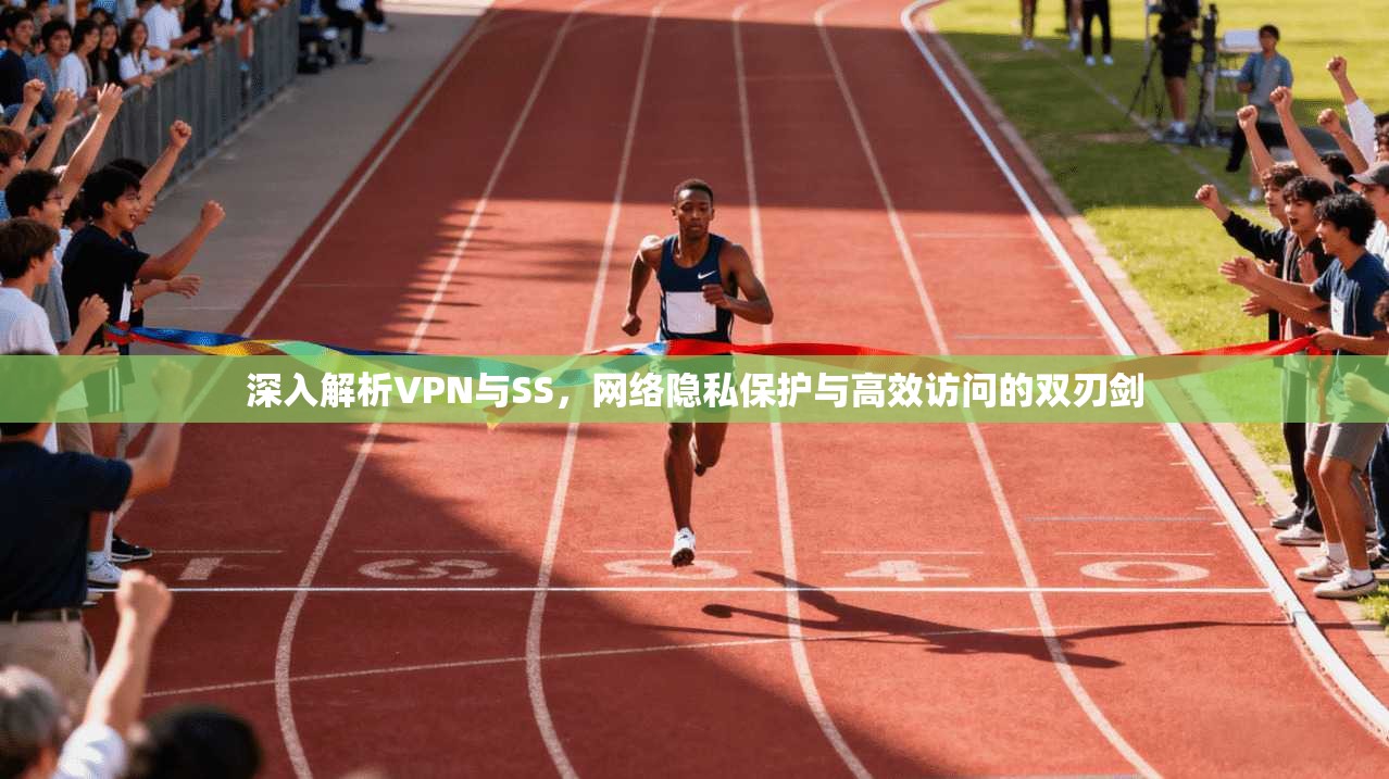 深入解析VPN与SS，网络隐私保护与高效访问的双刃剑