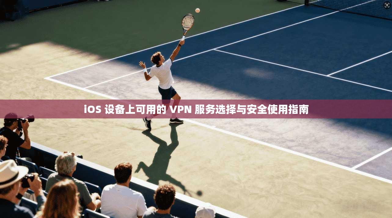 iOS 设备上可用的 VPN 服务选择与安全使用指南
