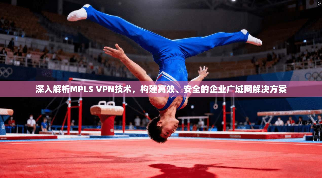 深入解析MPLS VPN技术，构建高效、安全的企业广域网解决方案