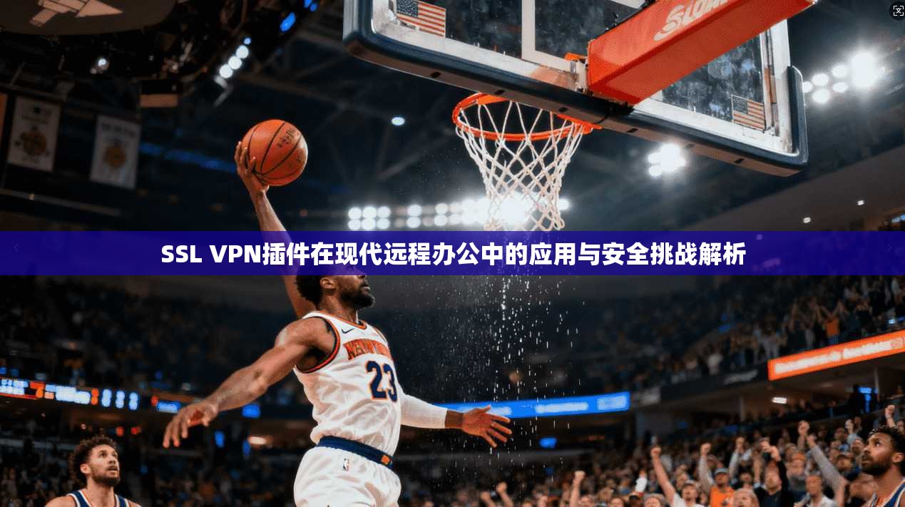 SSL VPN插件在现代远程办公中的应用与安全挑战解析