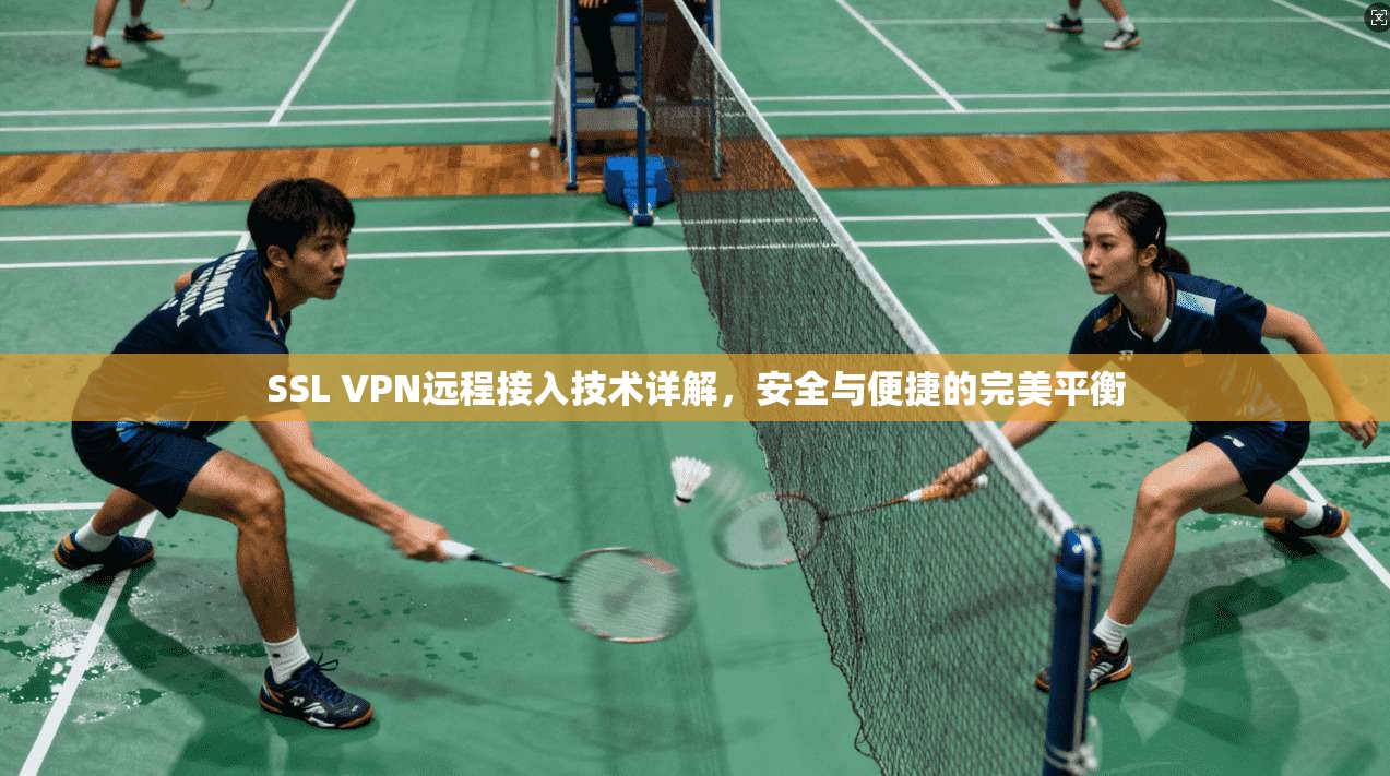 SSL VPN远程接入技术详解，安全与便捷的完美平衡