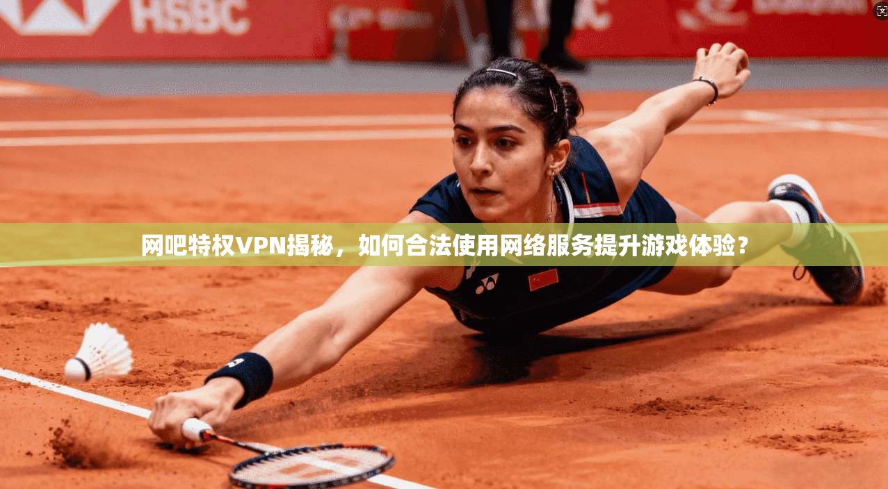 网吧特权VPN揭秘，如何合法使用网络服务提升游戏体验？