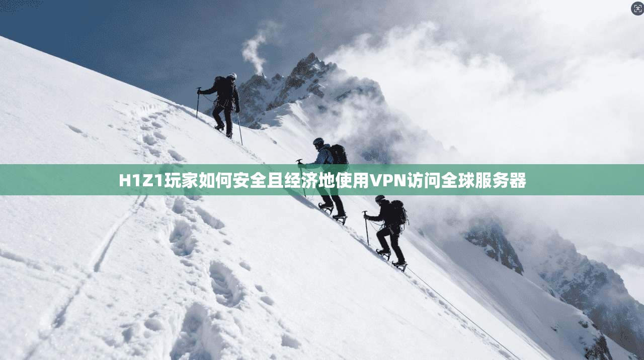 H1Z1玩家如何安全且经济地使用VPN访问全球服务器