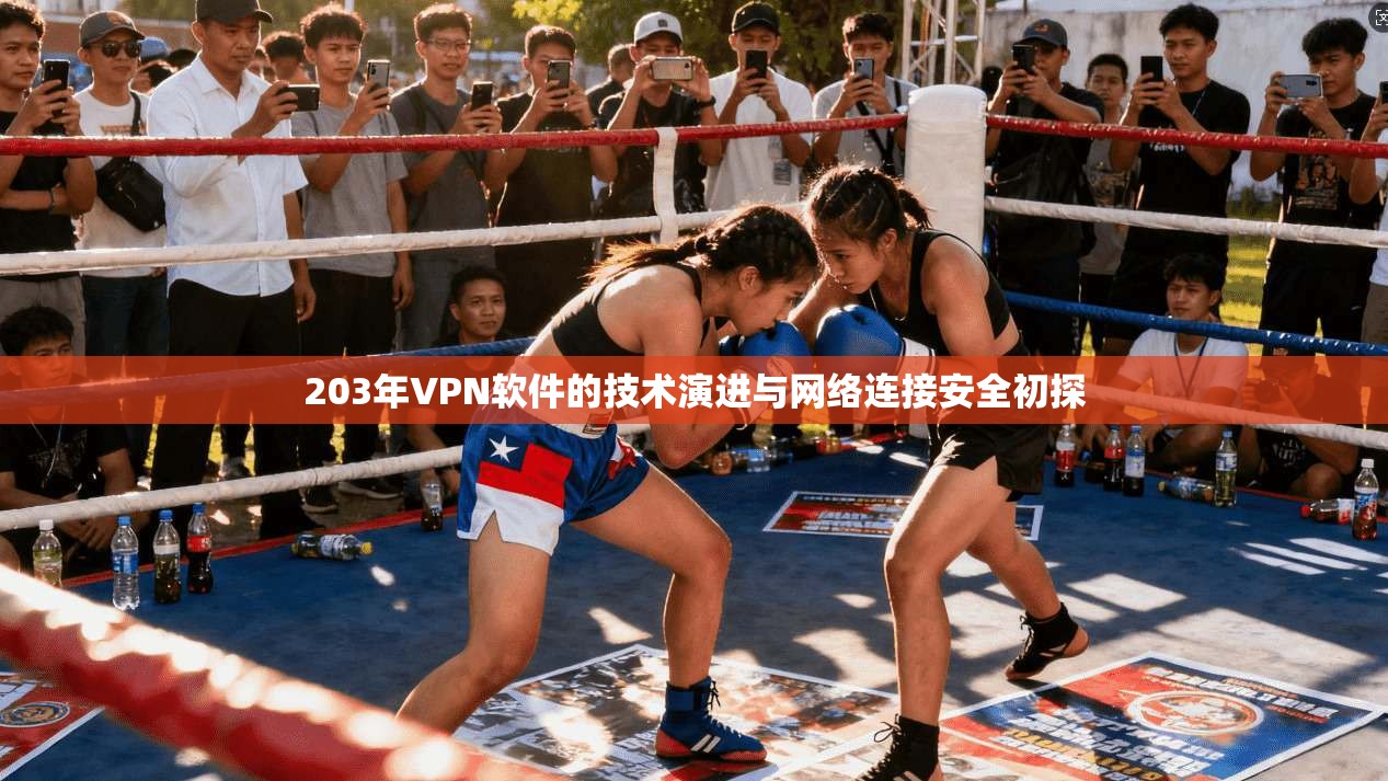 203年VPN软件的技术演进与网络连接安全初探