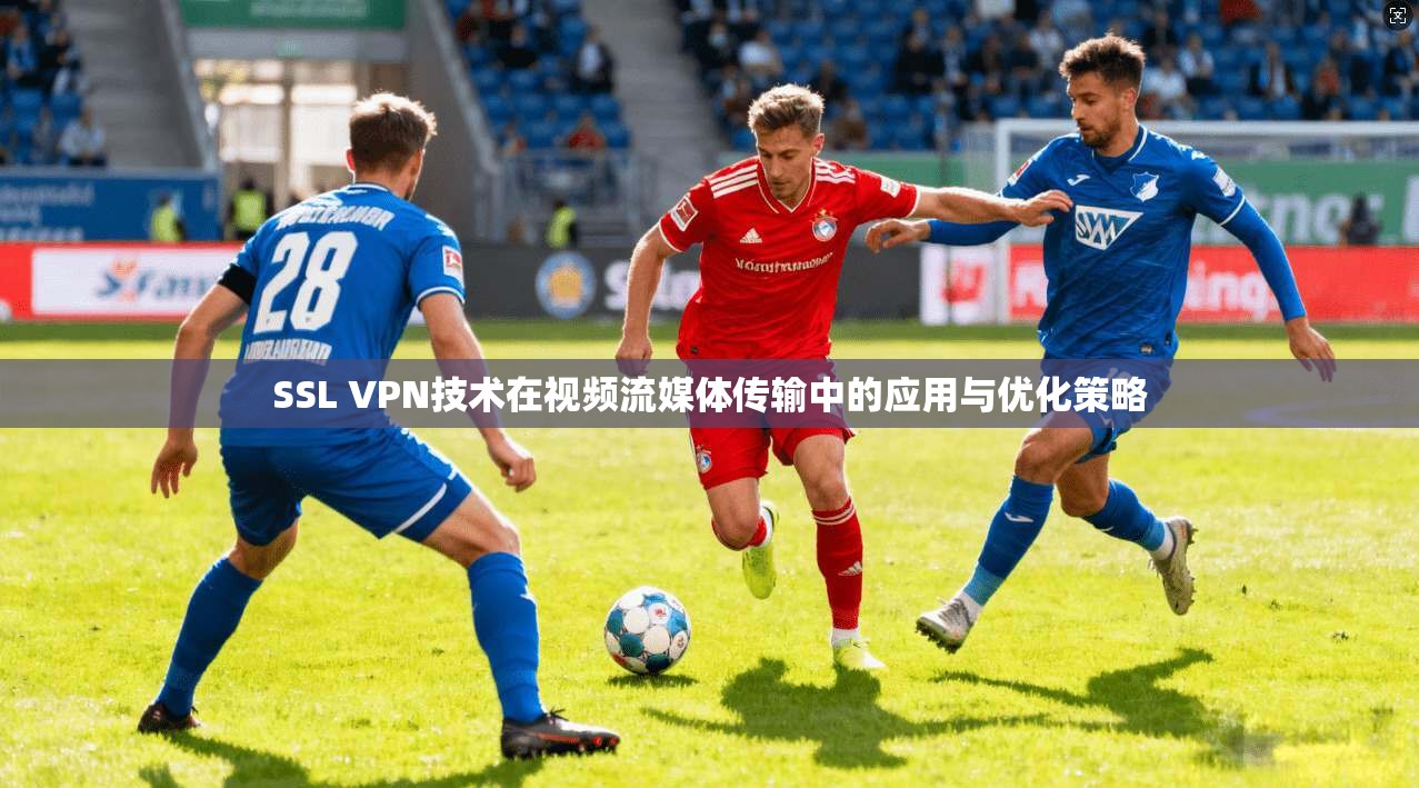 SSL VPN技术在视频流媒体传输中的应用与优化策略