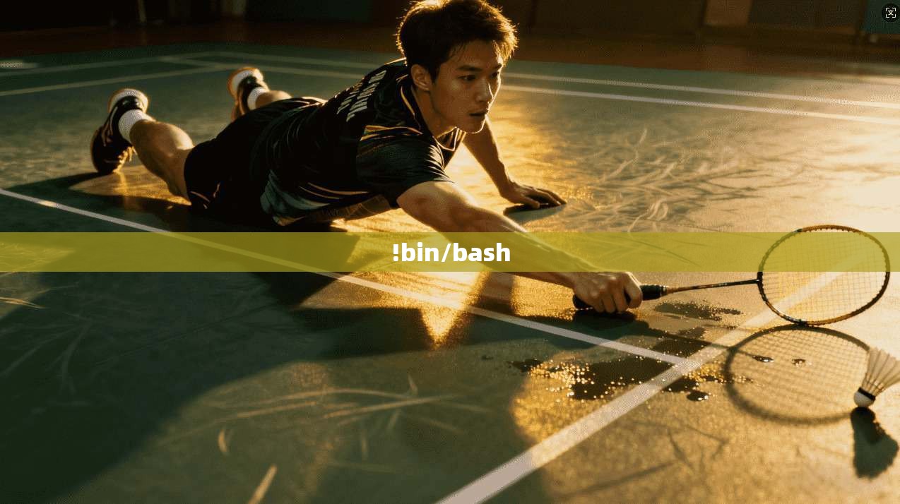 !bin/bash