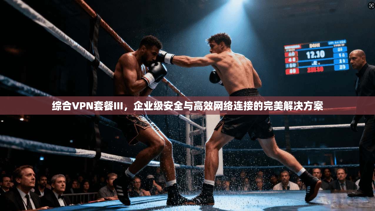 综合VPN套餐III，企业级安全与高效网络连接的完美解决方案