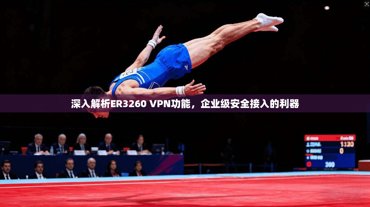 深入解析ER3260 VPN功能，企业级安全接入的利器