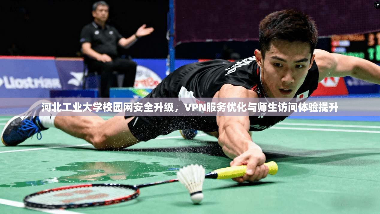 河北工业大学校园网安全升级，VPN服务优化与师生访问体验提升