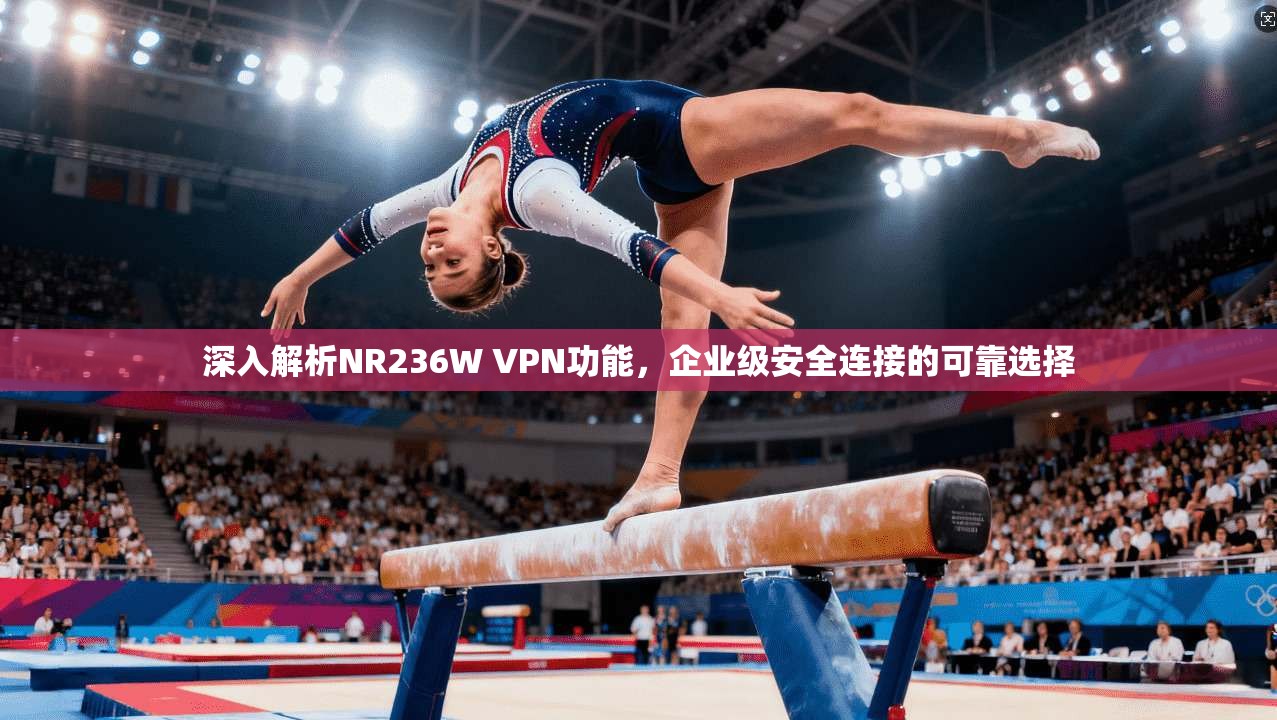 深入解析NR236W VPN功能，企业级安全连接的可靠选择
