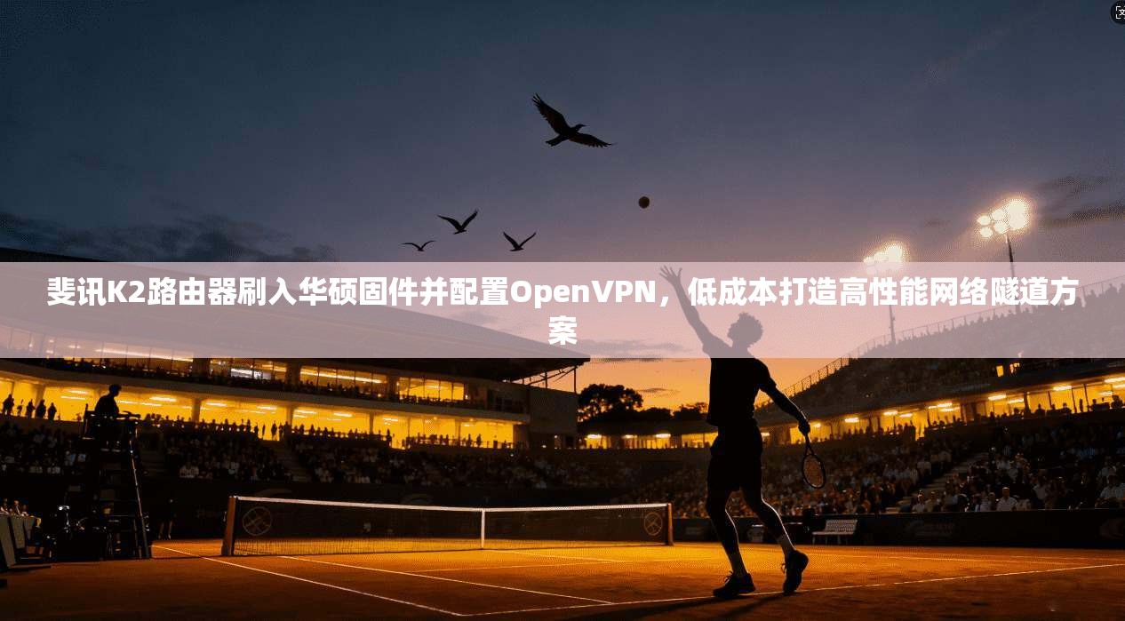 斐讯K2路由器刷入华硕固件并配置OpenVPN，低成本打造高性能网络隧道方案