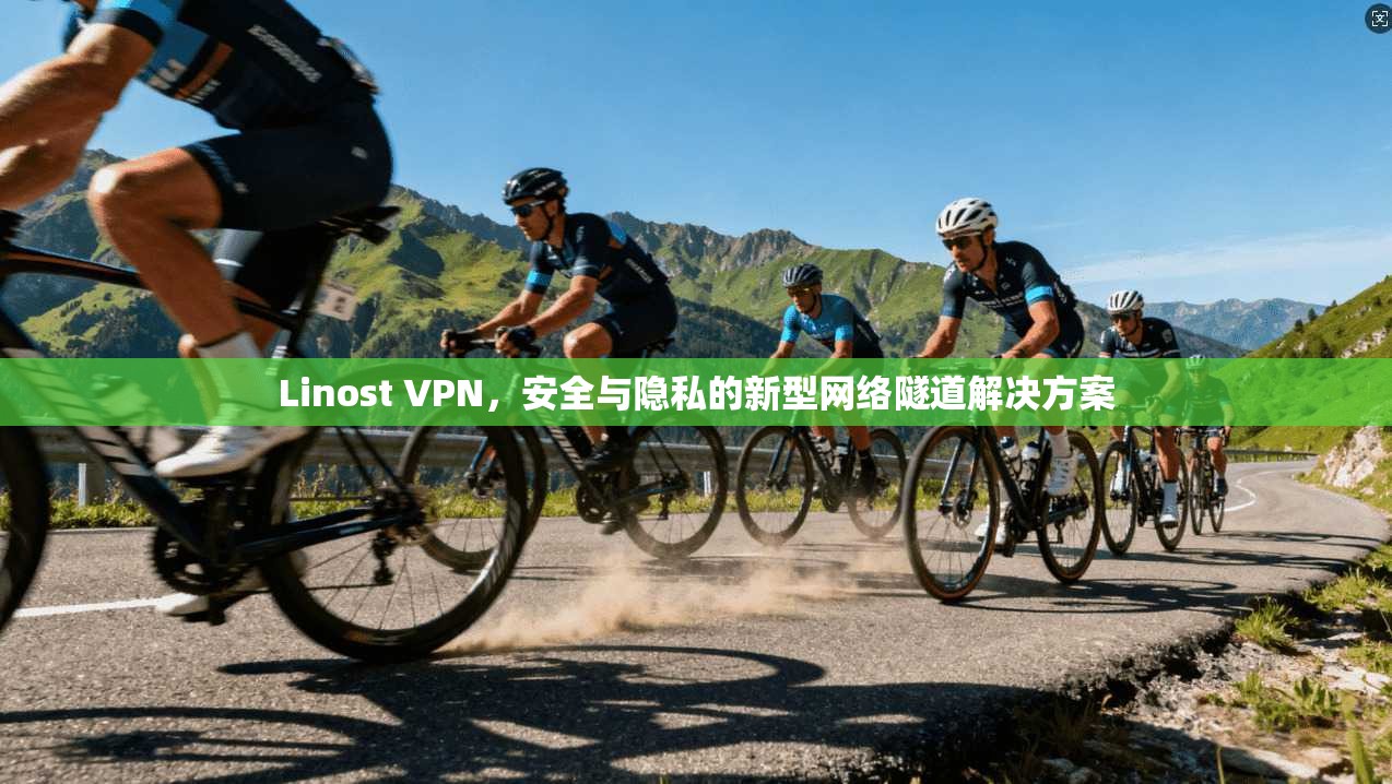 Linost VPN，安全与隐私的新型网络隧道解决方案