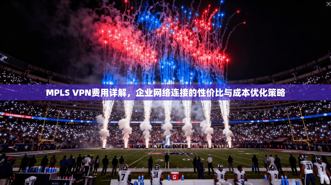 MPLS VPN费用详解，企业网络连接的性价比与成本优化策略