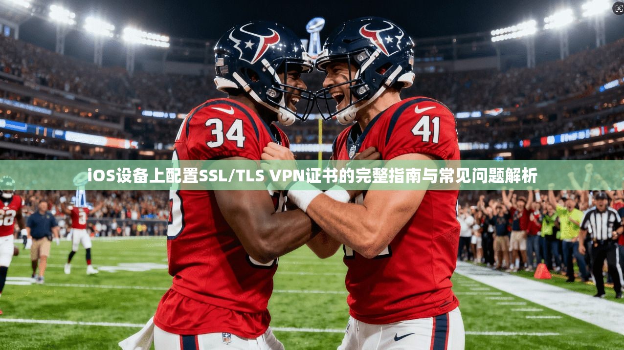 iOS设备上配置SSL/TLS VPN证书的完整指南与常见问题解析
