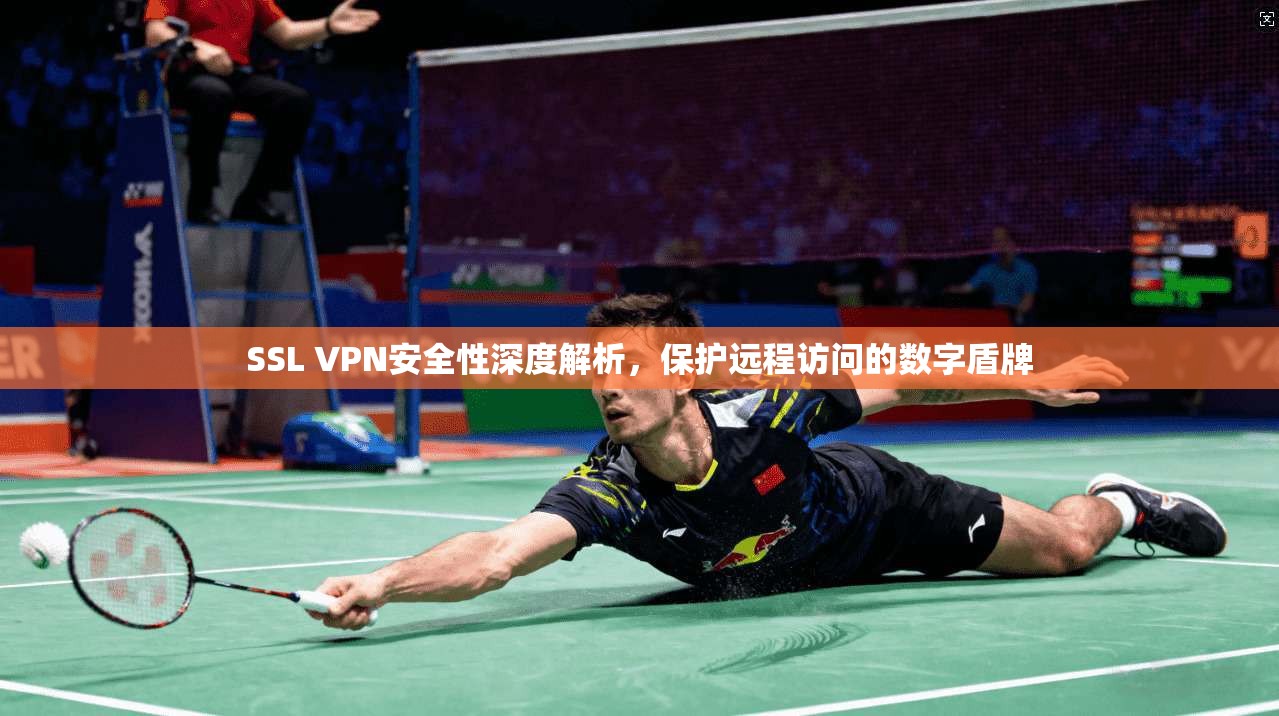 SSL VPN安全性深度解析，保护远程访问的数字盾牌