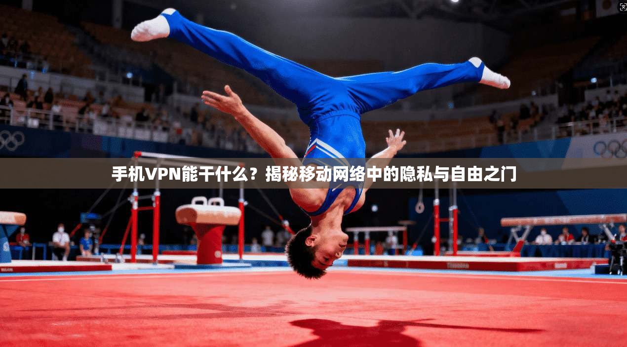 手机VPN能干什么？揭秘移动网络中的隐私与自由之门