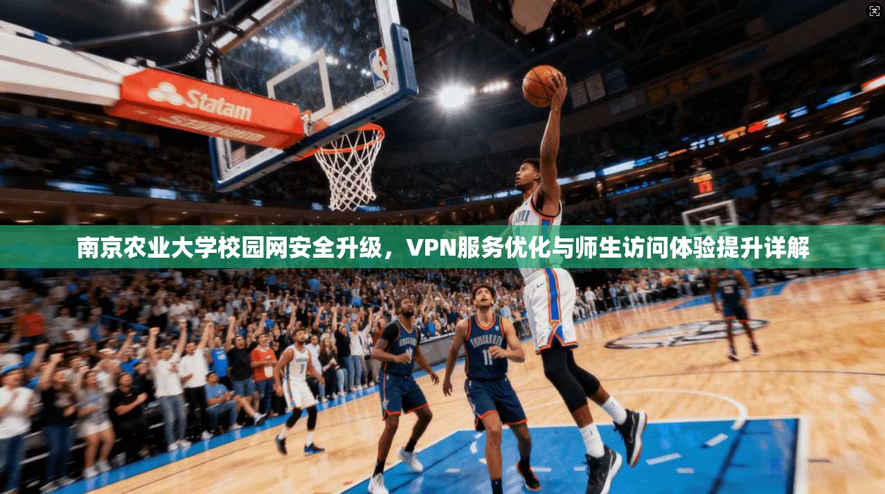 南京农业大学校园网安全升级，VPN服务优化与师生访问体验提升详解