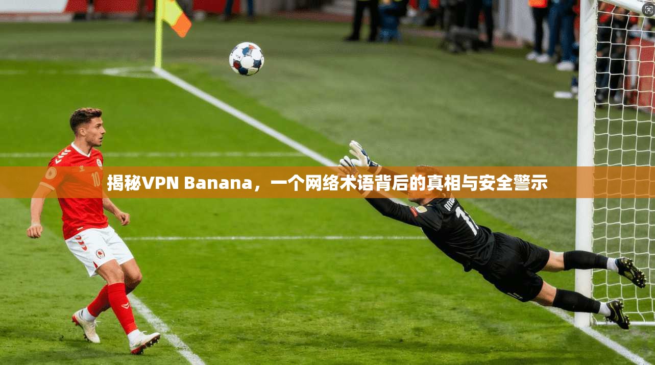 揭秘VPN Banana，一个网络术语背后的真相与安全警示