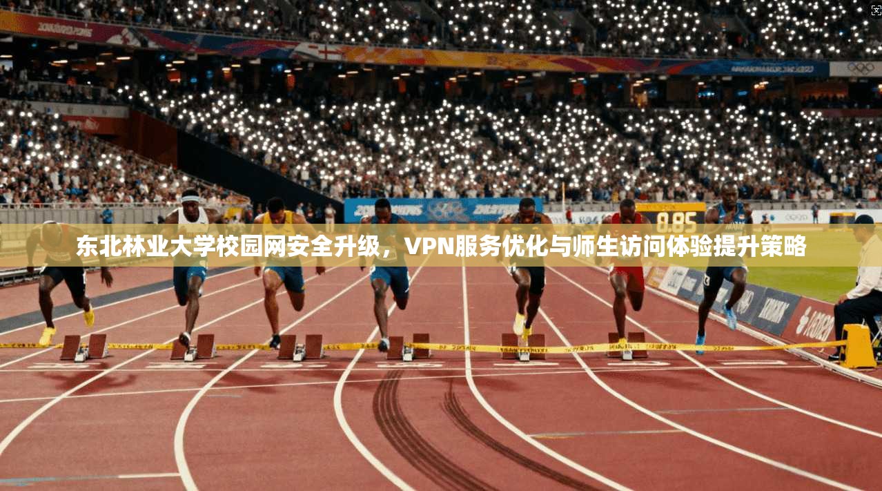 东北林业大学校园网安全升级，VPN服务优化与师生访问体验提升策略