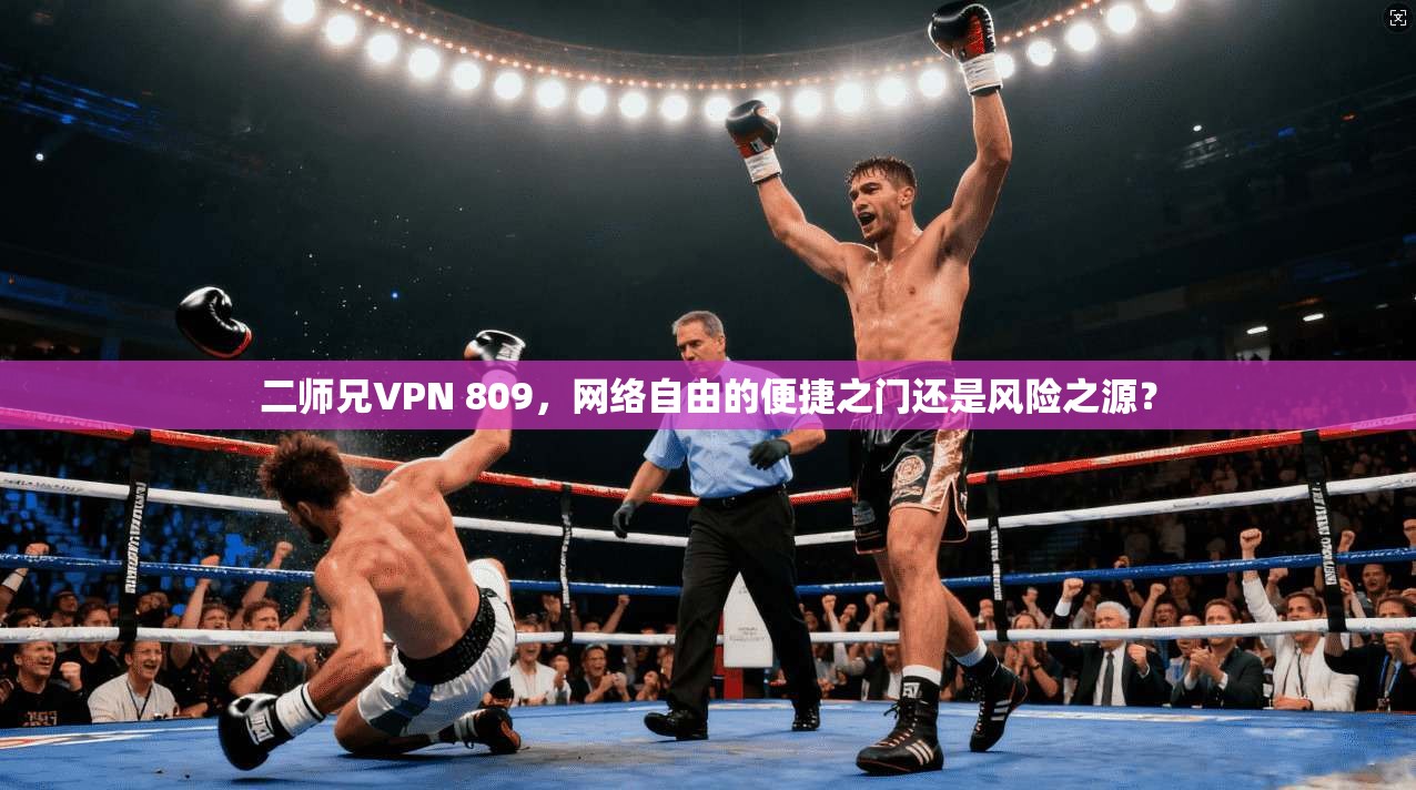 二师兄VPN 809，网络自由的便捷之门还是风险之源？