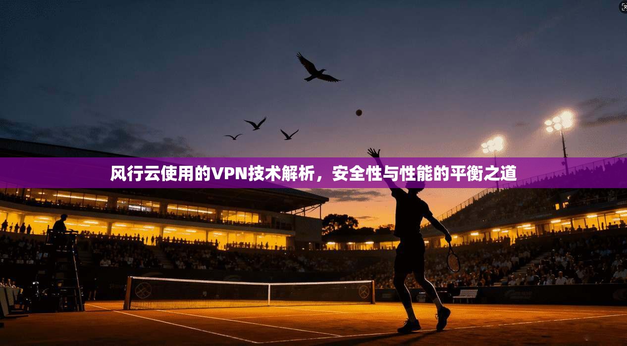 风行云使用的VPN技术解析，安全性与性能的平衡之道