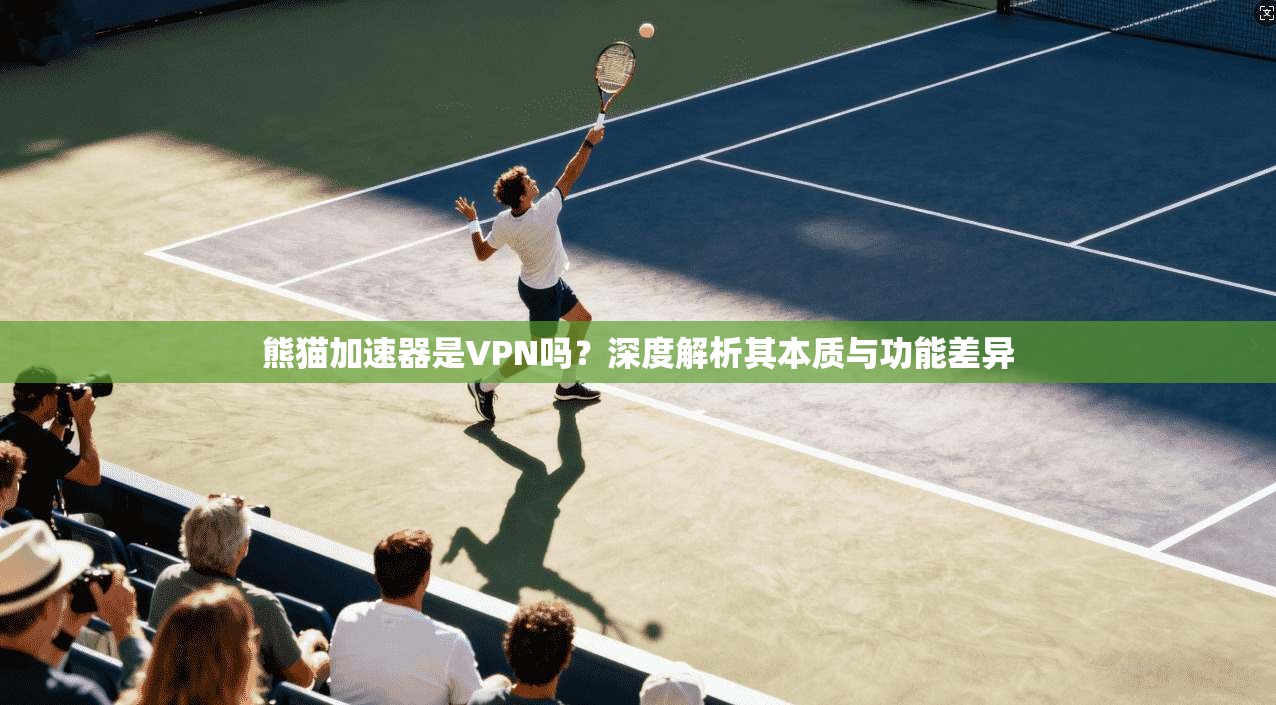 熊猫加速器是VPN吗？深度解析其本质与功能差异