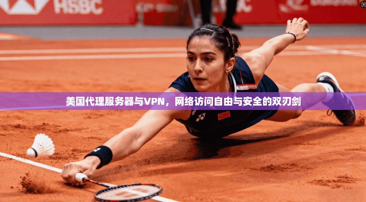 美国代理服务器与VPN，网络访问自由与安全的双刃剑